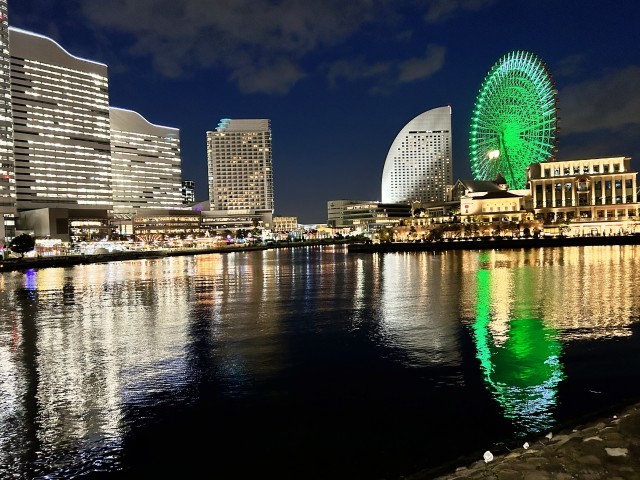 4. 横浜港の夜景散歩で「汽車道」を歩く_f0100593_10532961.jpg