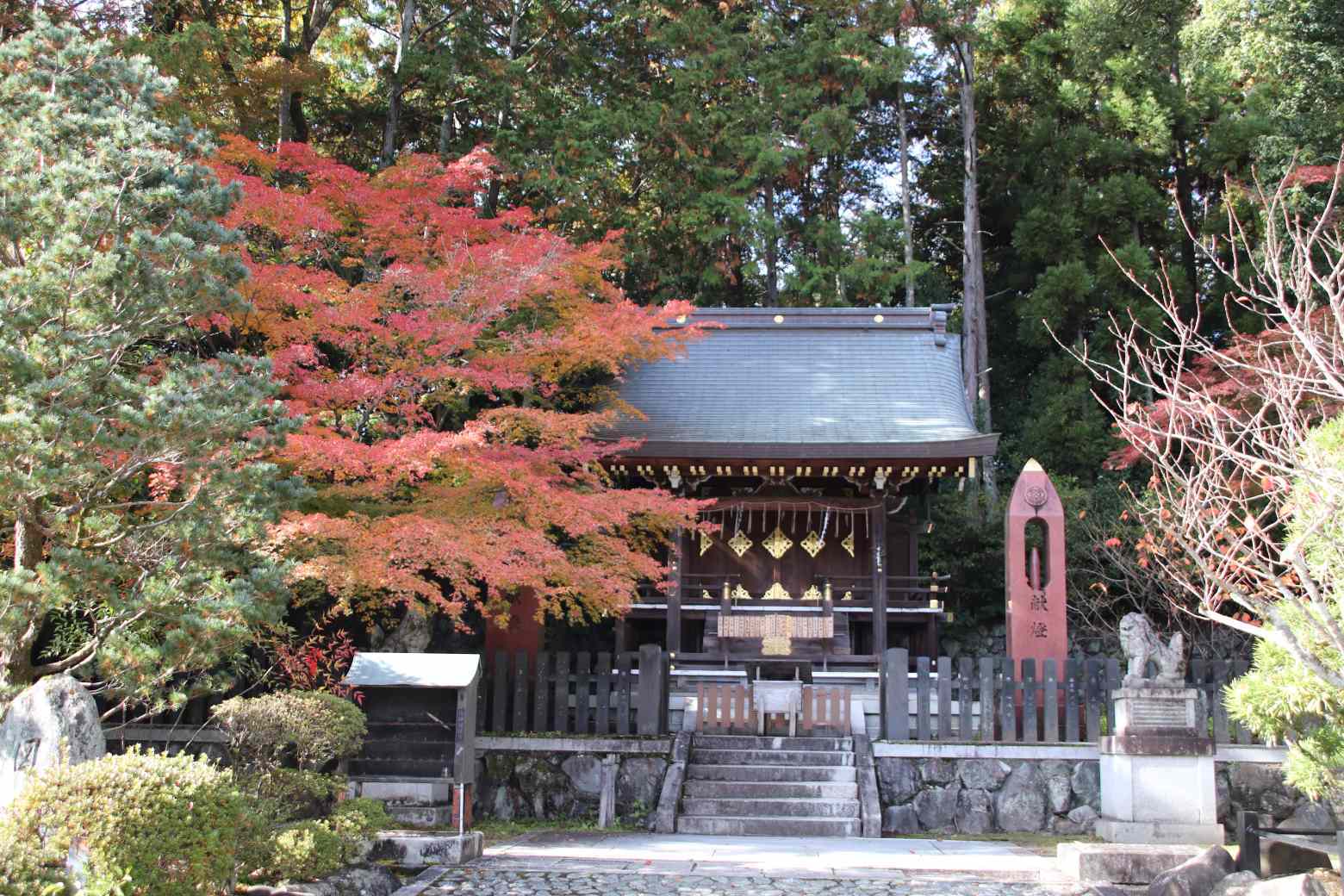 今宮神社　紅葉が盛りであぶり餅も繁盛_e0048413_22570699.jpg