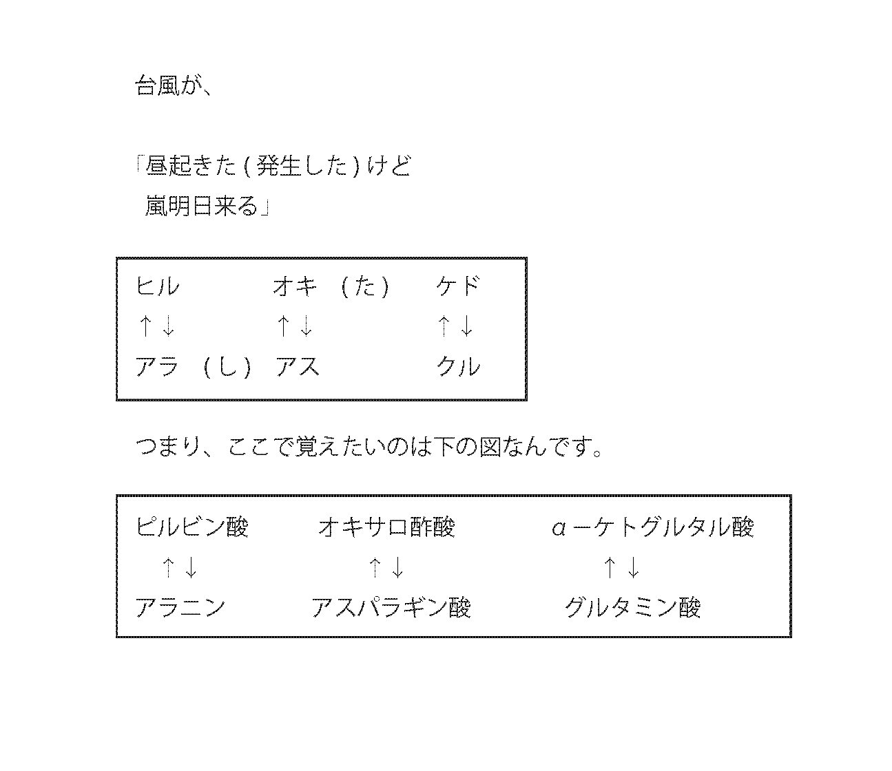 アミノ基転移の覚え方_e0223539_17180106.png