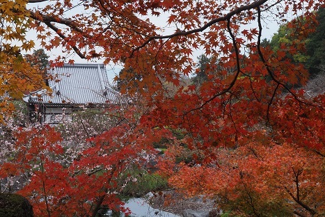 紅葉の散歩　　当麻寺・馬見丘陵公園_c0303868_05025537.jpg