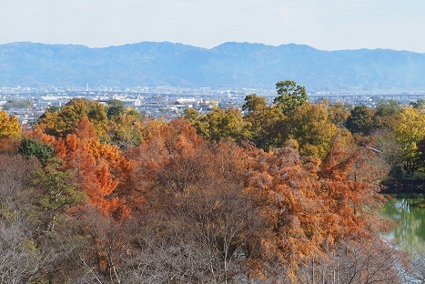 紅葉の散歩　　当麻寺・馬見丘陵公園_c0303868_05075088.jpg