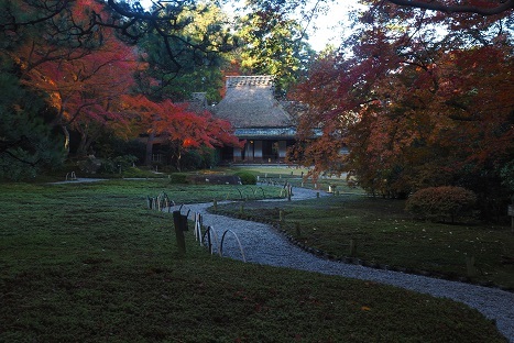 満月と紅葉の散策　　　奈良公園_c0303868_15030948.jpg