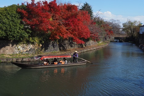 メタセコイヤ並木と琵琶湖周辺の紅葉　　鶏足寺・常楽寺_c0303868_13002815.jpg