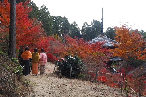 メタセコイヤ並木と琵琶湖周辺の紅葉　　鶏足寺・常楽寺_c0303868_13065629.jpg