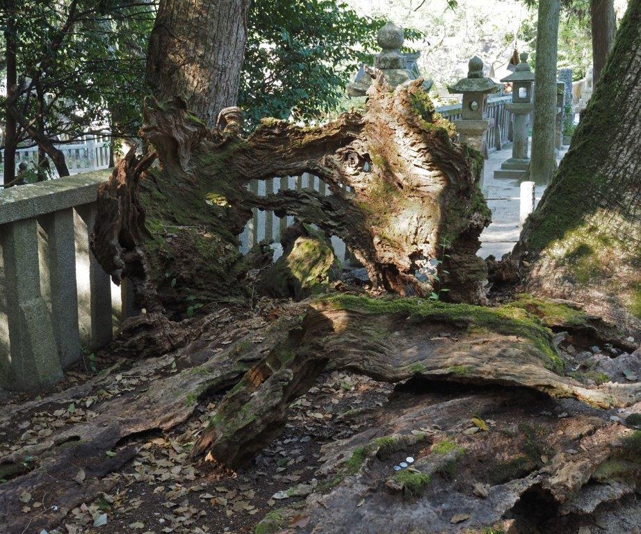 2023年１０月　瀬戸内海 １１島めぐりの旅（その１）_c0094546_10254292.jpg