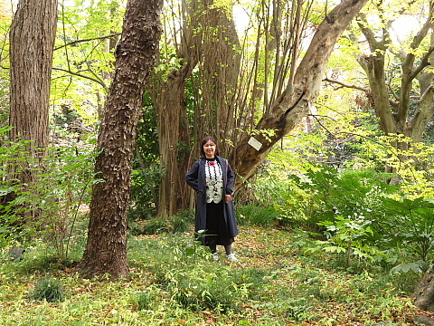 徳川時代からある《小石川植物園》。_d0047170_00223522.jpg