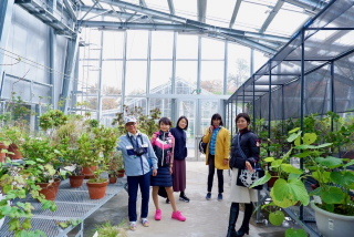 徳川時代からある《小石川植物園》。_d0047170_00253684.jpg