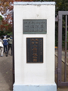 徳川時代からある《小石川植物園》。_d0047170_00301998.jpg