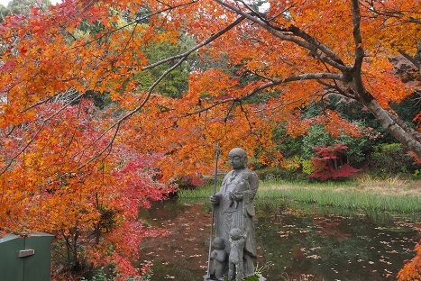 晩秋の紅葉とドウダンツツジ　　　長岳寺・九品寺・高天彦神社・馬見丘陵公園_c0303868_13491134.jpg