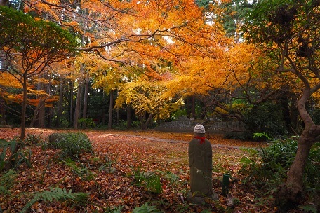 晩秋の紅葉とドウダンツツジ　　　長岳寺・九品寺・高天彦神社・馬見丘陵公園_c0303868_13541998.jpg