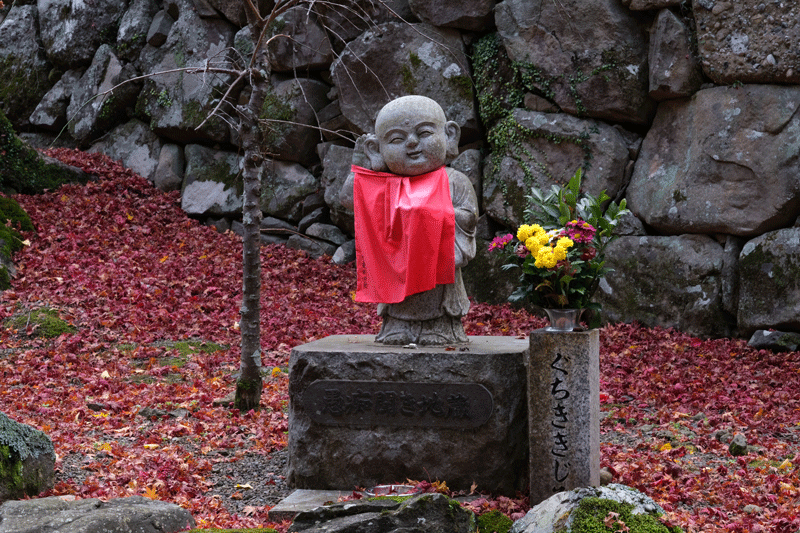 2023-11-30  かつらぎ町の丹生酒殿神社のイチョウと岸和田市の牛滝山 大威徳寺の晩秋_a0216227_22391148.gif