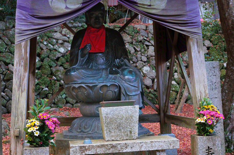 2023-11-30  かつらぎ町の丹生酒殿神社のイチョウと岸和田市の牛滝山 大威徳寺の晩秋_a0216227_22452634.gif