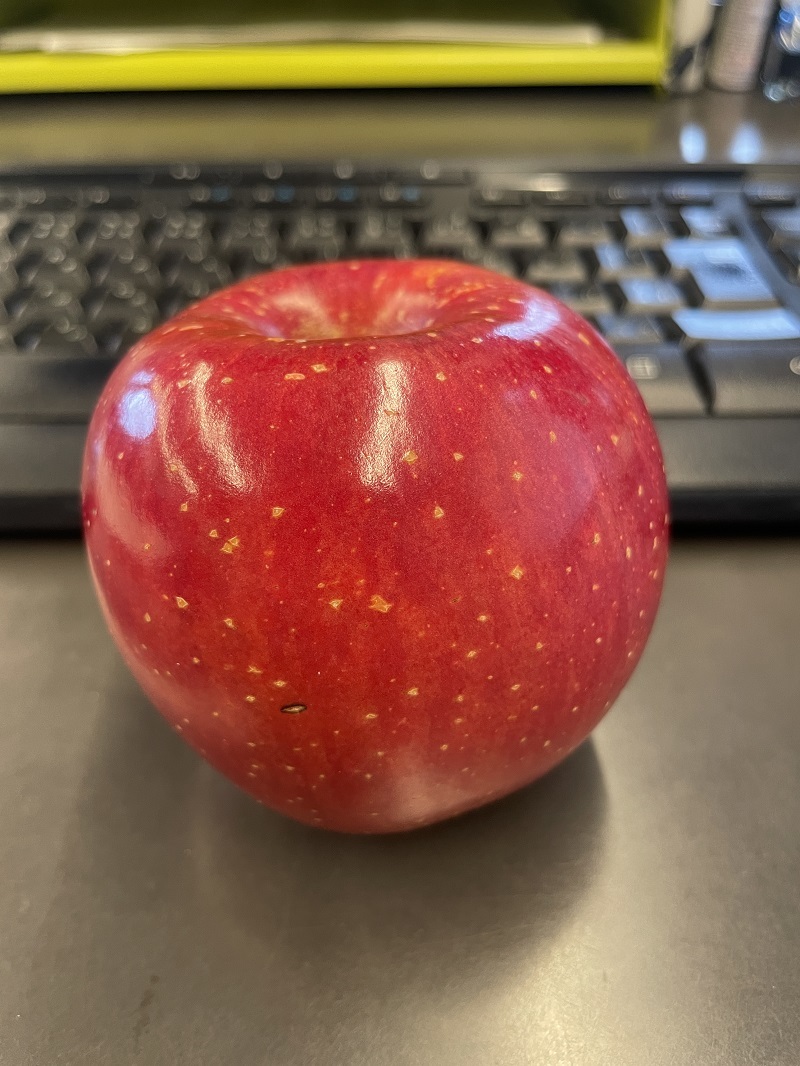 真っ赤なリンゴとフラットシックス_f0076731_20372152.jpg