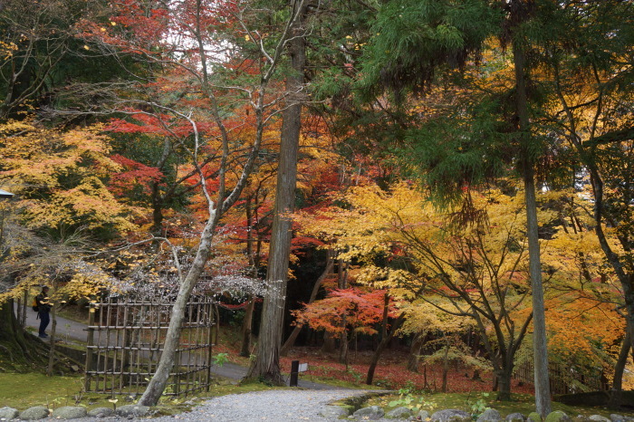 琵琶湖の古寺を巡る1　湖東三山・西明寺・金剛輪寺・百済寺_a0129636_11555507.jpg