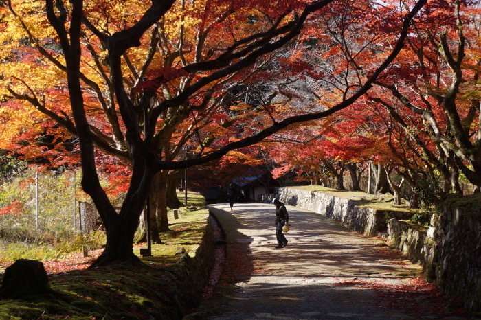 琵琶湖の古寺を巡る1　湖東三山・西明寺・金剛輪寺・百済寺_a0129636_12061091.jpg