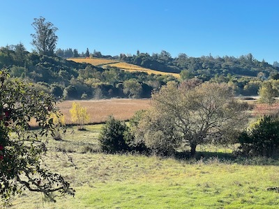 Sebastopol_Apple House_①_e0351091_03282659.jpeg