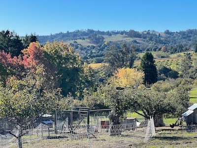 Sebastopol_Apple House_②_e0351091_03500229.jpeg