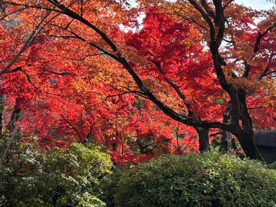 ”美”合気道「美と美」「美と美と美」「美と美と美と美と美」「美人美人」「自然の美と美」_f0033831_09433426.jpg