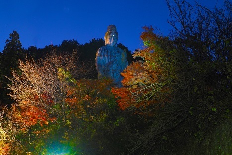 晩秋の紅葉と落葉・湖畔の映り込み　　壺阪寺・高取城・龍王ヶ淵_c0303868_08261888.jpg