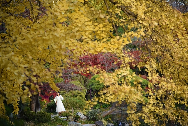 晩秋の女神 ～日比谷公園～_a0169902_09482915.jpg