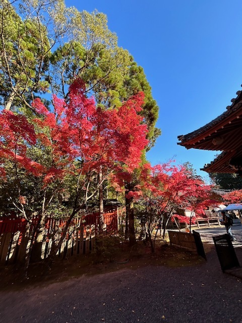 京都　鞍馬寺～～貴船神社～～赤山禅院～～曼殊院門跡_d0082980_22180757.jpg