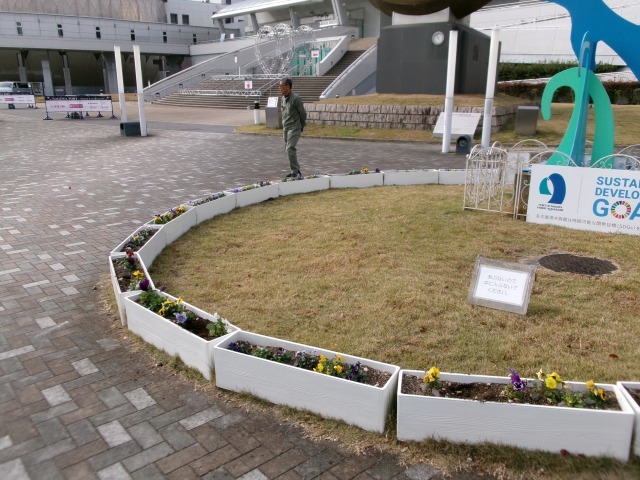 名古屋港水族館前花壇の植栽R5.12.11_d0338682_09114055.jpg