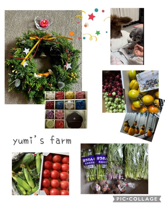 yumi.s farmさん ありがとう_a0254238_09234833.jpeg