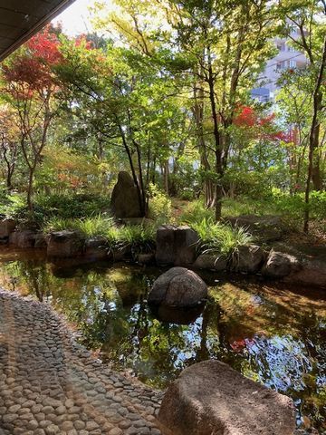 練馬区立　牧野記念庭園_d0082980_10150517.jpg