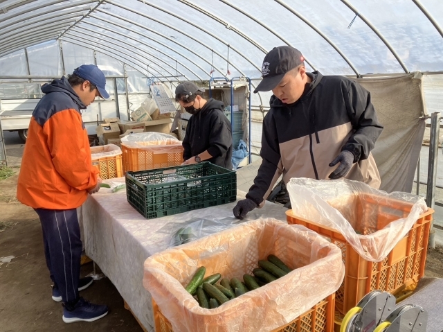 12月18〜22日までの作業の様子です。_e0270198_13303801.jpg