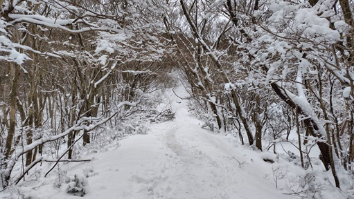 今年最後の山は　大雪の宝満～三郡～難所が滝_d0006512_14470956.jpg