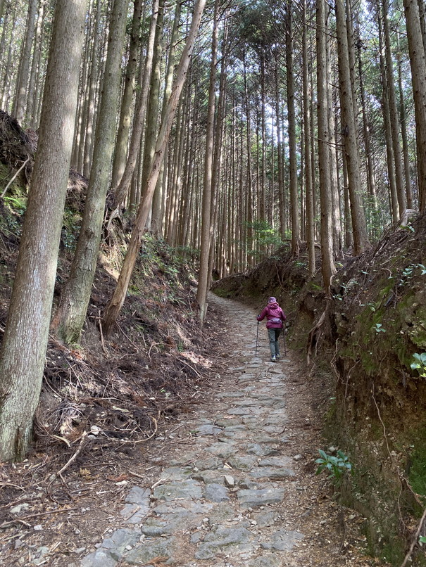 2023年12月 『熊野古道、お伊勢さん　－その１－』　December 2023 \"Pilgrimage of Kumano (Kumano-Kodo) & Ise Jingu\"_c0219616_04591365.jpg