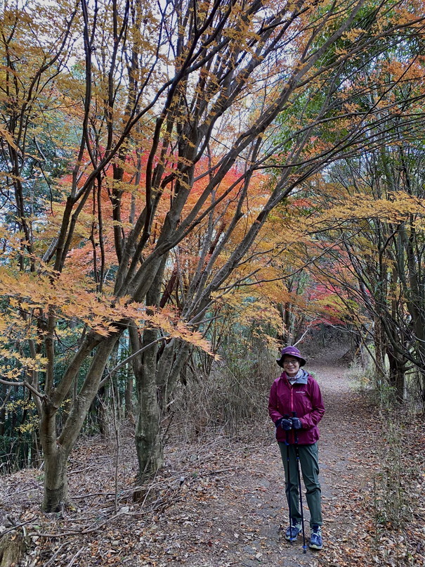 2023年12月 『熊野古道、お伊勢さん　－その１－』　December 2023 \"Pilgrimage of Kumano (Kumano-Kodo) & Ise Jingu\"_c0219616_05071240.jpg