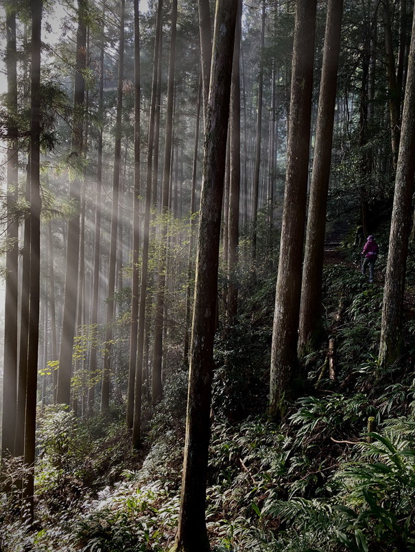 2023年12月 『熊野古道、お伊勢さん　－その２－』　December 2023 \"Pilgrimage of Kumano (Kumano-Kodo) & Ise Jingu, No2\"_c0219616_07040099.jpg