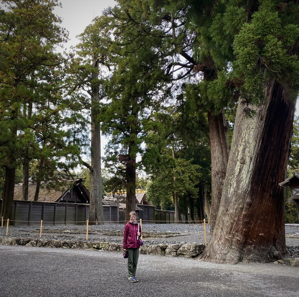 2023年12月 『熊野古道、お伊勢さん　－その３－』　December 2023 \"Pilgrimage of Kumano (Kumano-Kodo) & Ise Jingu, No3\"_c0219616_17292627.jpg