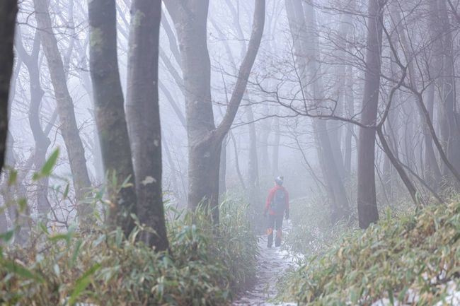 2023.12.31　恒例の大晦日皿ヶ嶺登山！_f0406128_21300742.jpg