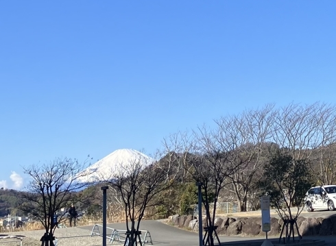 新年朝食ブッフェ_c0248817_19044391.jpg