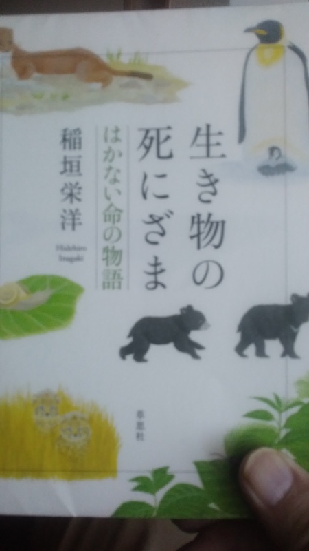 今あなたがいる、という奇跡 － 稲垣栄洋｣生き物の死にざま、はかない