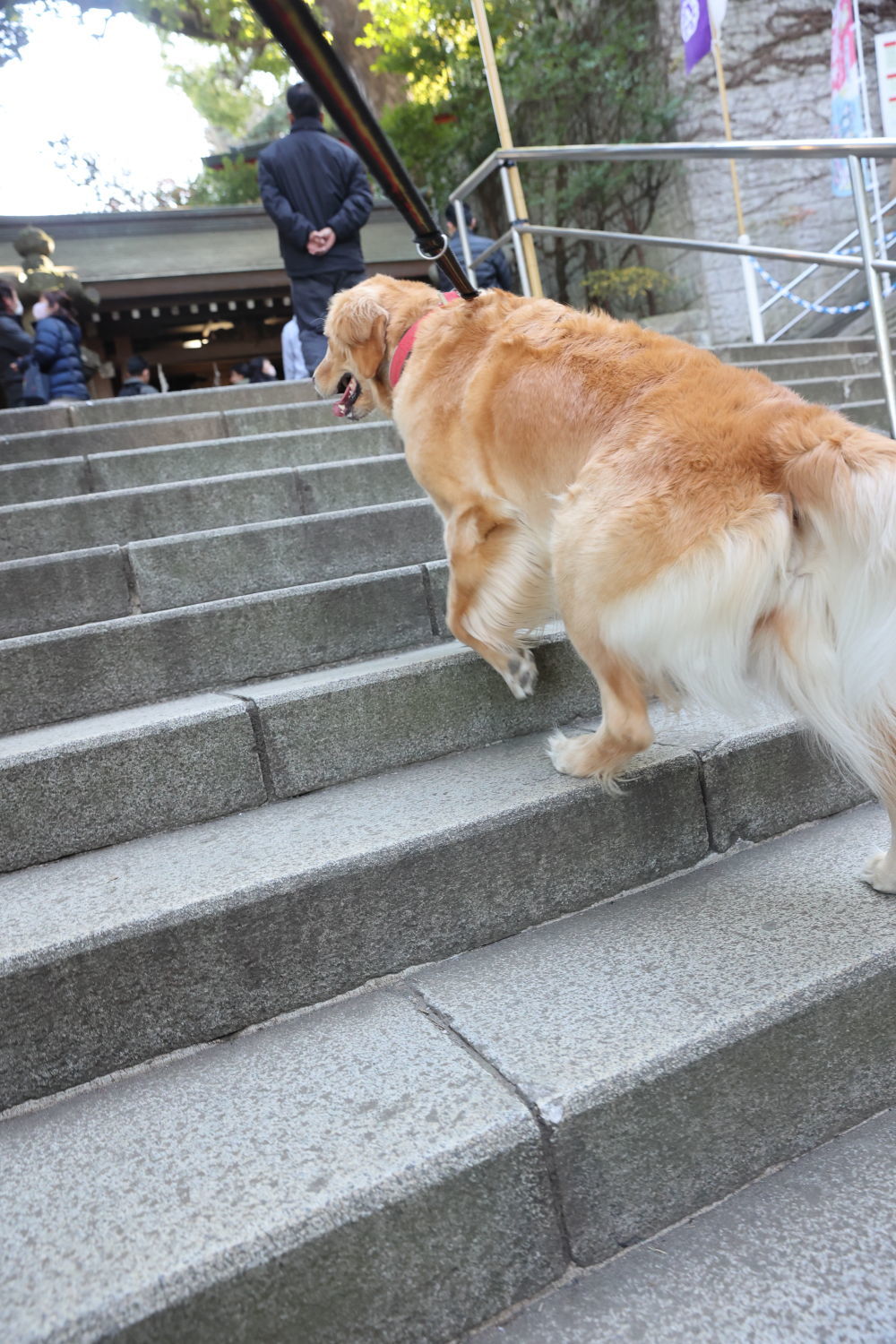 江島神社でご祈祷♪_b0275998_14364848.jpg