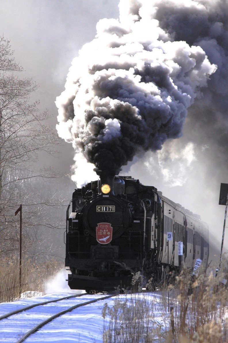 さあ！蒸気機関車の出番です　１月８日_f0113639_14184525.jpg