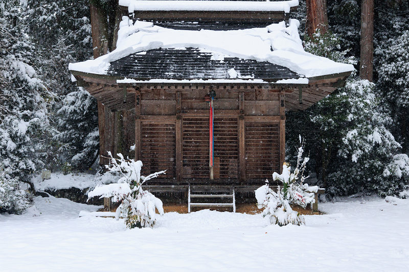 雪景色・素盞嗚命神社（長浜市）_f0155048_20583919.jpg