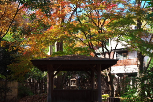 北区　名主の滝公園の紅葉2_a0263109_09263514.jpg