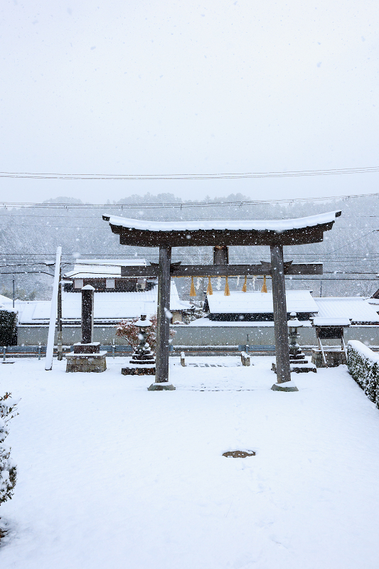 雪景色・八幡宮社_f0155048_23563236.jpg