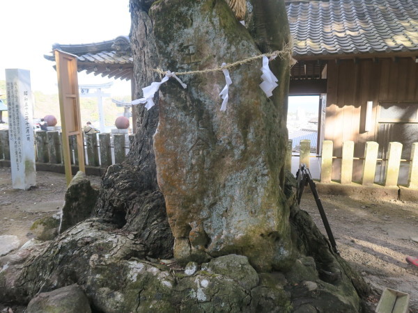 八幡竈門神社へ参拝　　2024.1.7（日）_a0166196_12001785.jpg