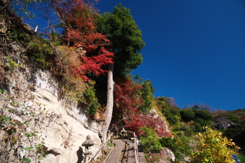 北鎌倉　円覚寺の紅葉1_a0263109_11120462.jpg