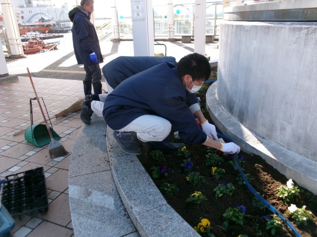 名古屋港水族館前花壇の植栽R6.1.15_d0338682_10455980.jpg