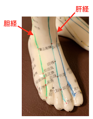 花粉症改善には肘を整える？ 〜ある日の施術より〜_e0073240_21060145.jpg