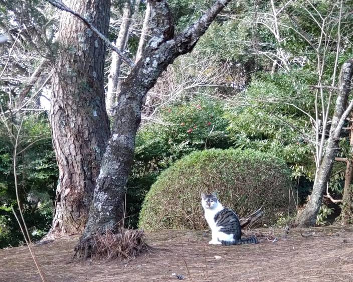 成田山新勝寺へ_e0335926_00020205.jpg