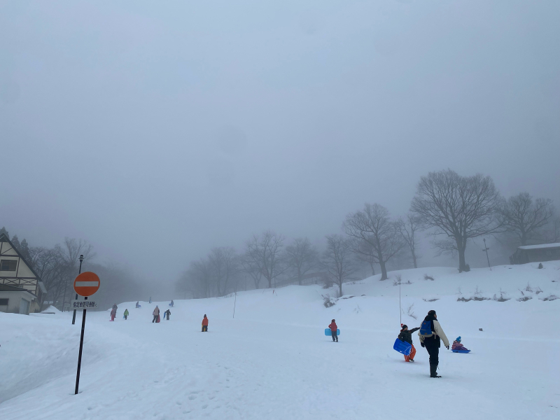 雪も薄くなりました_b0411027_13330051.jpg