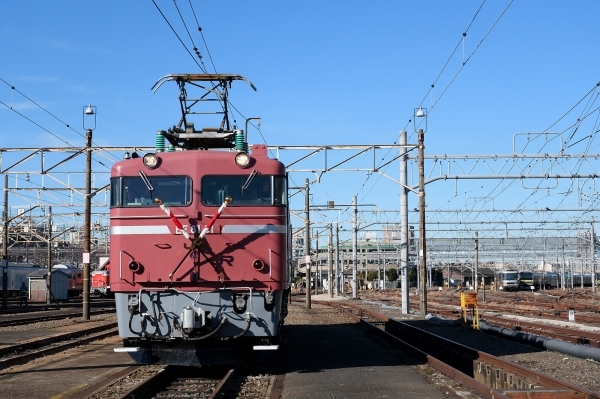 お召機 EF81形81号機撮影会 ①_e0005714_21052395.jpg