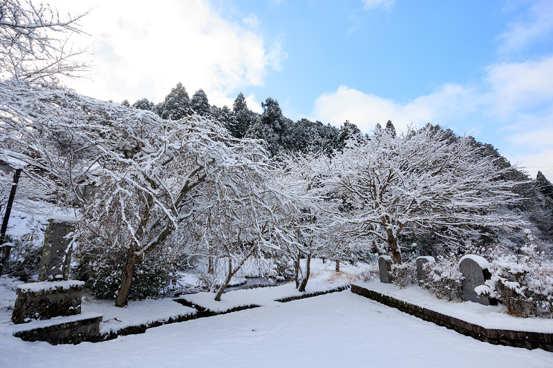 雪景色・福徳寺_f0155048_00185609.jpg